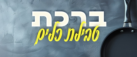 טבילת כלים